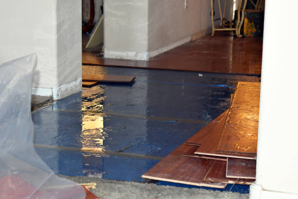 Professional Burst Pipe Water Damage technician working in Babson Park, MA